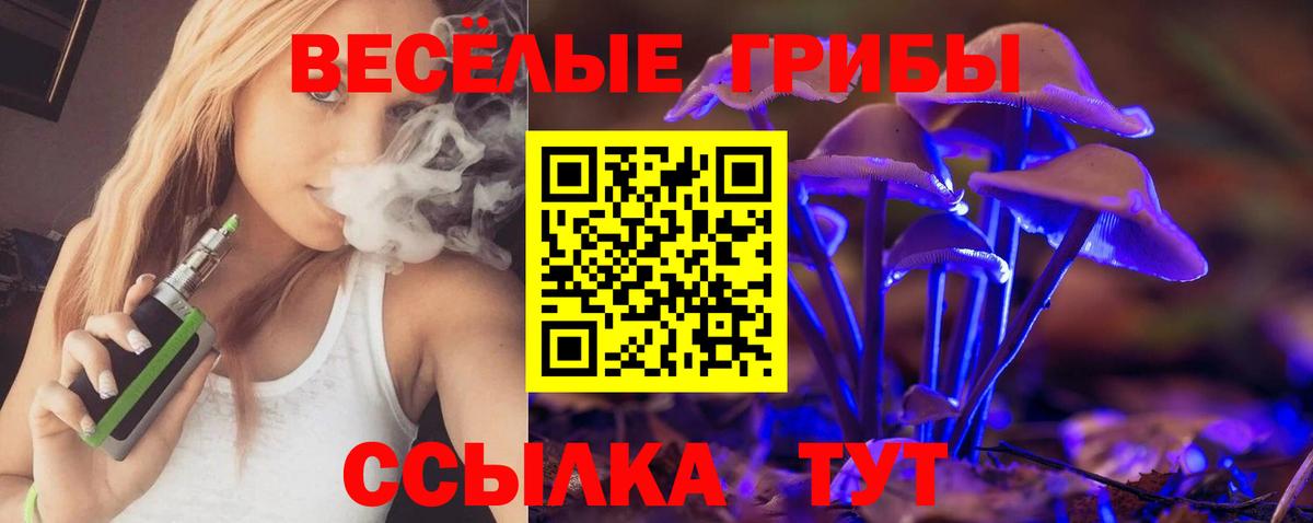 наркота  Вход с VPN  Гусев  Псилоцибиновые грибы Cubensis 